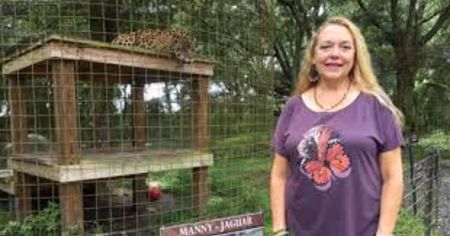 Carole Baskin Net Worth: Carole Baskin in a purple t-shirt poses for a picture in front of caged tiger.